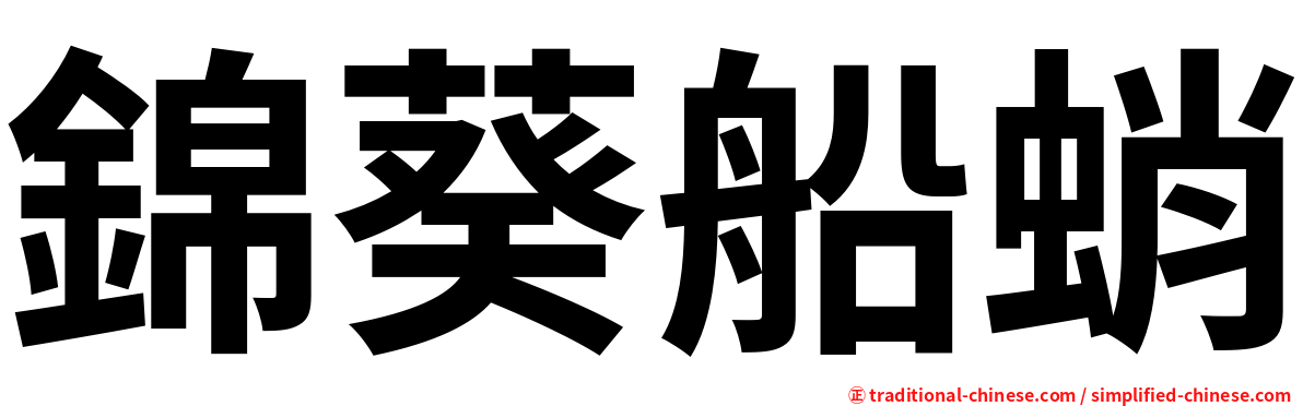 錦葵船蛸