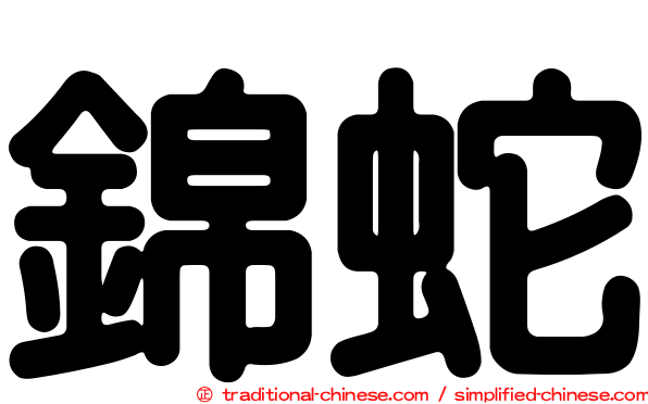 錦蛇