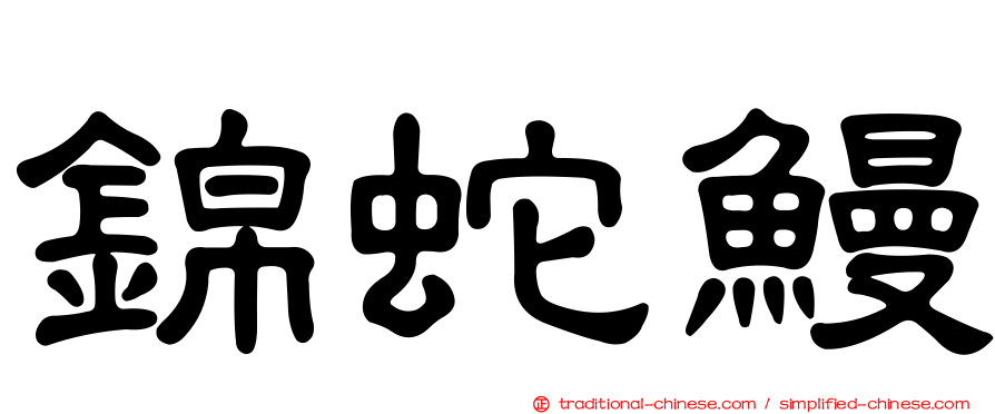 錦蛇鰻
