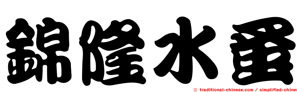 錦隆水蚤