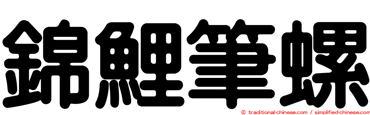 錦鯉筆螺