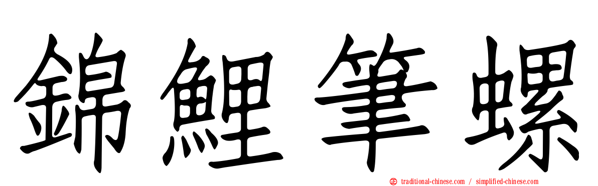 錦鯉筆螺
