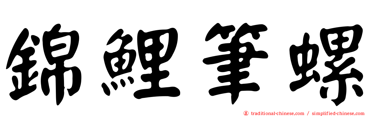 錦鯉筆螺