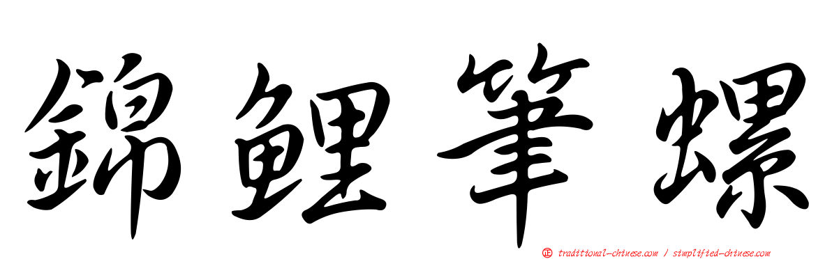 錦鯉筆螺