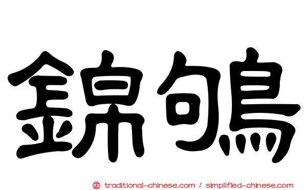 錦鴝