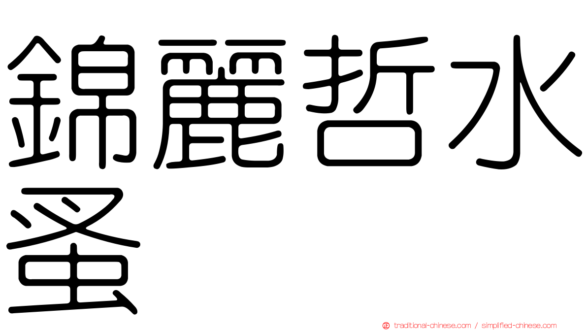 錦麗哲水蚤