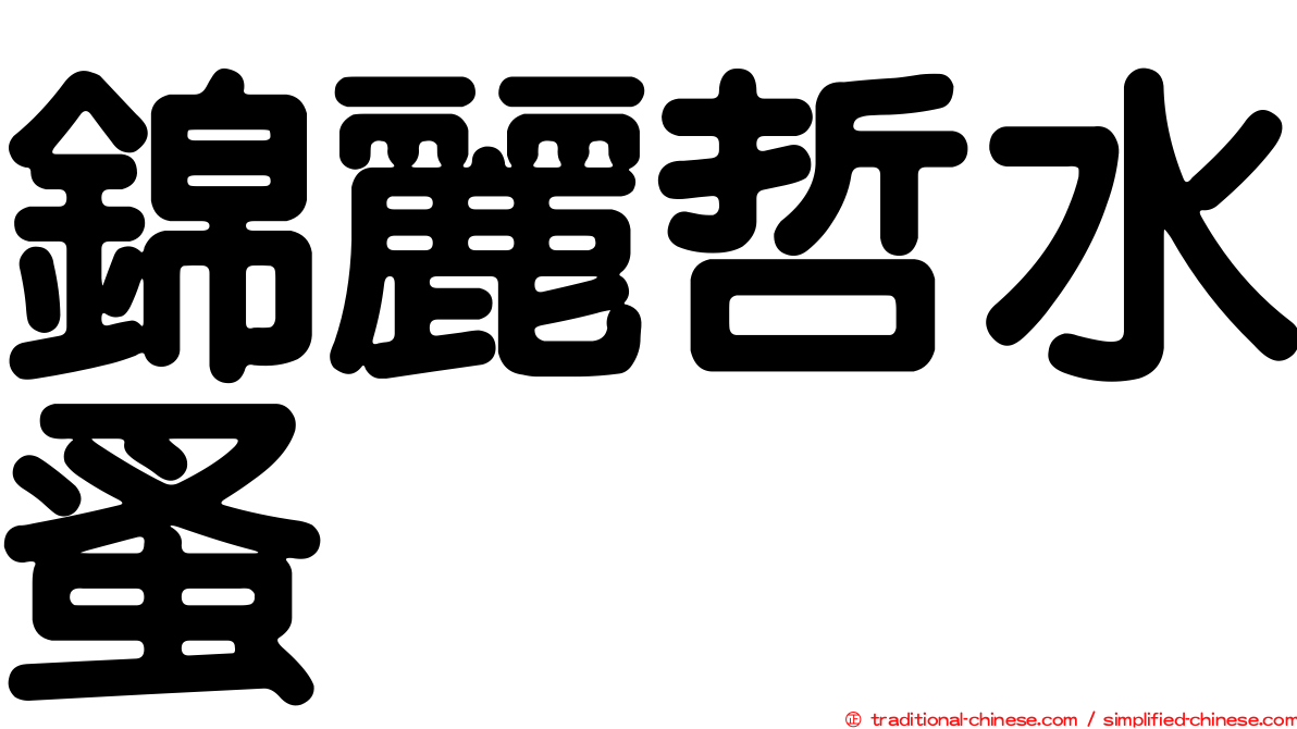 錦麗哲水蚤