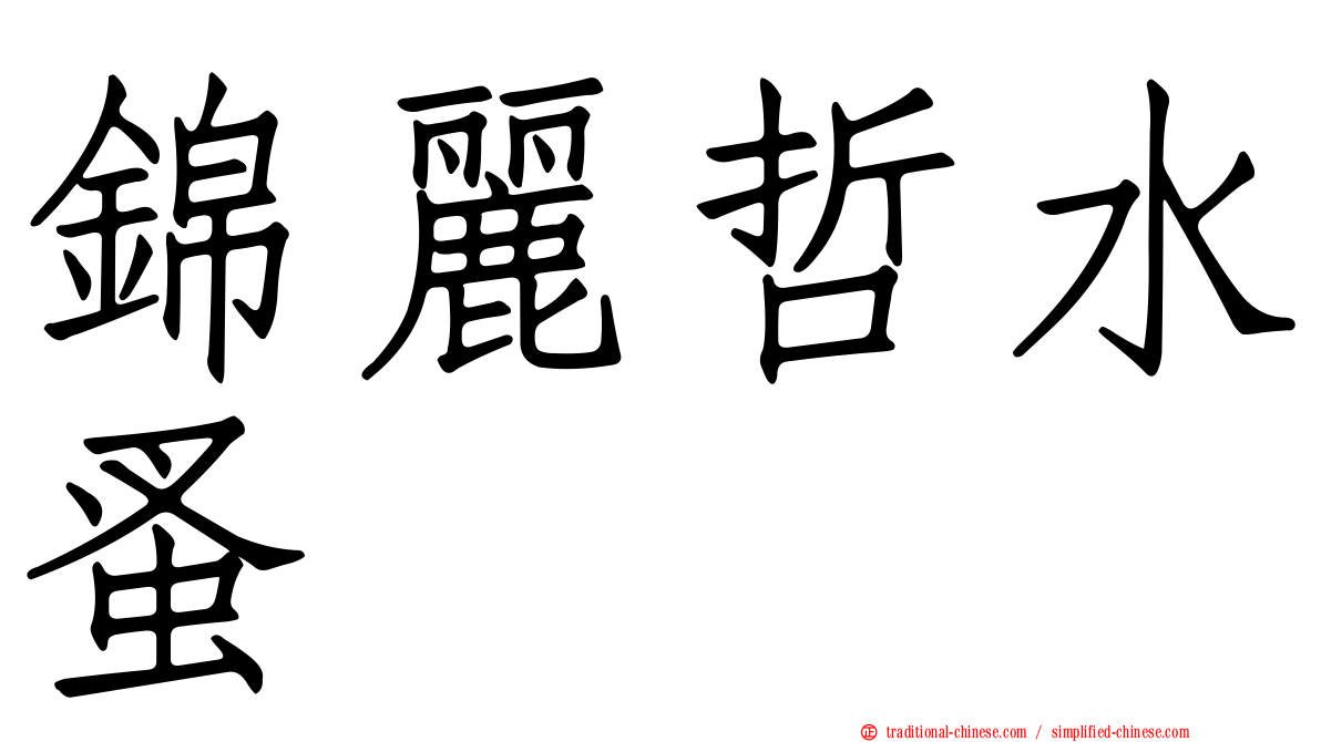 錦麗哲水蚤