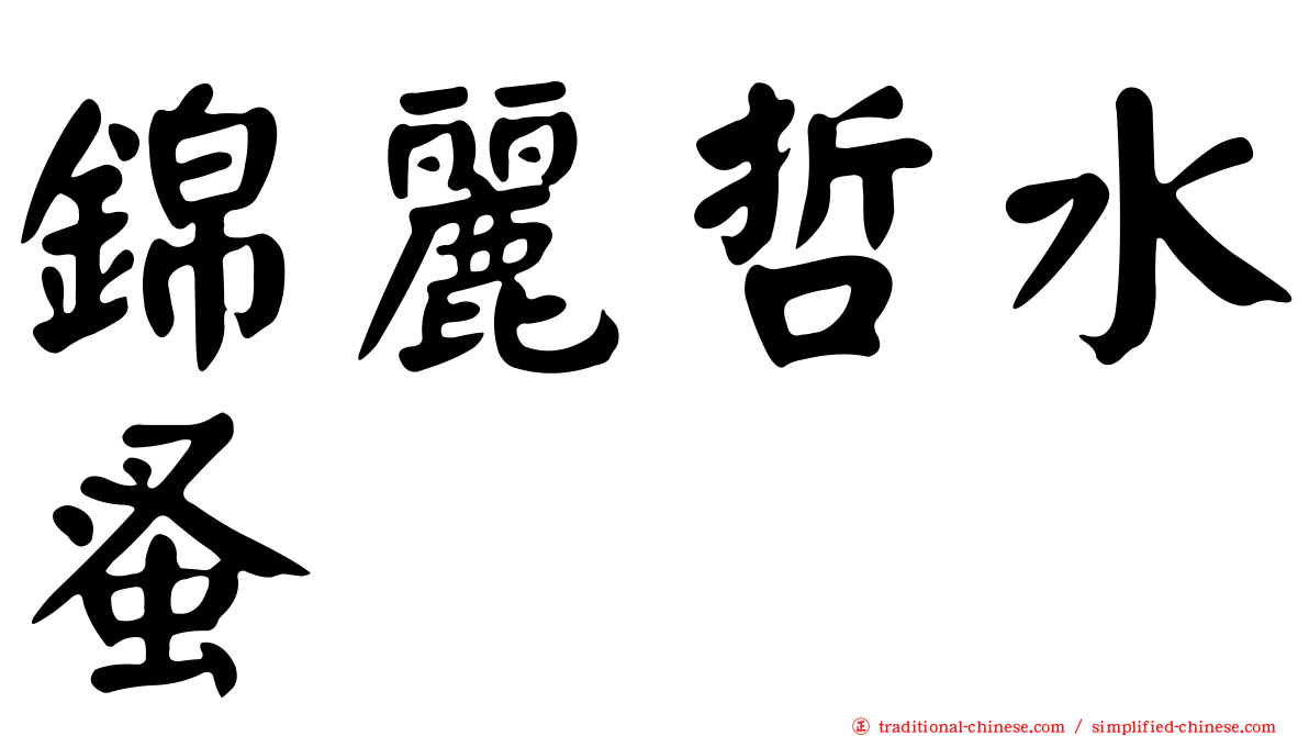 錦麗哲水蚤