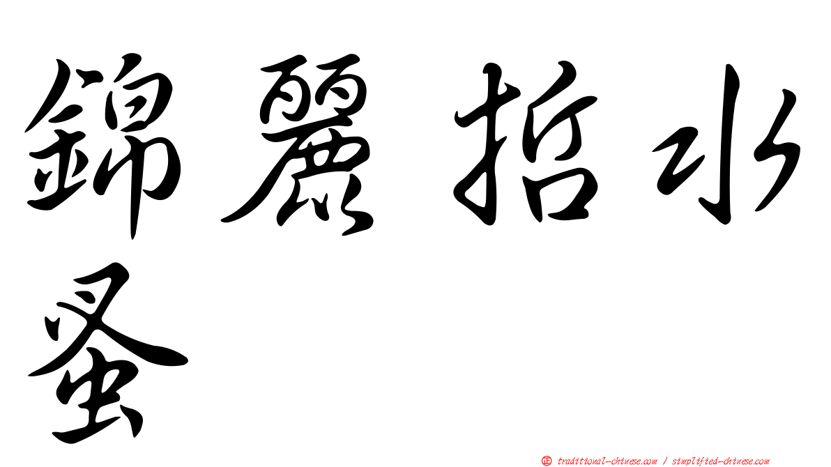 錦麗哲水蚤