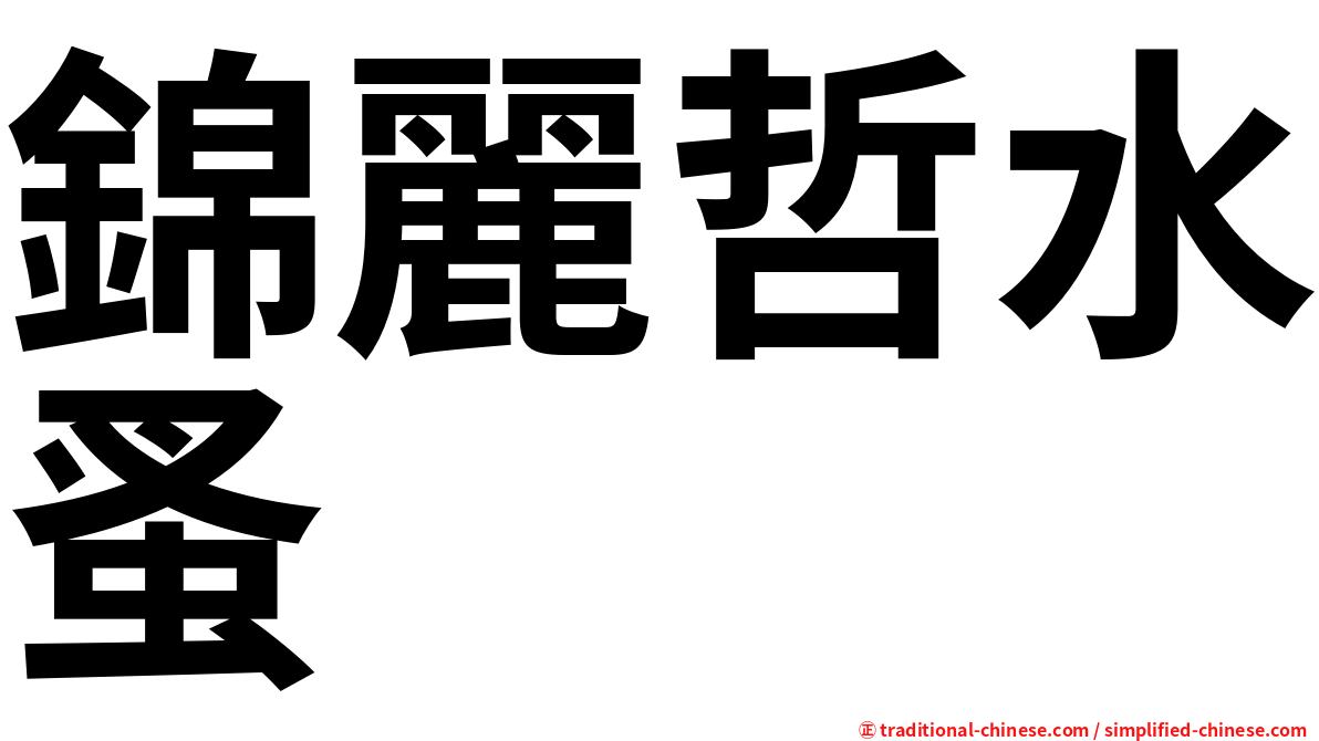 錦麗哲水蚤