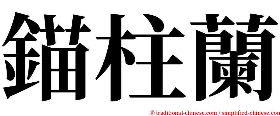 錨柱蘭 serif font