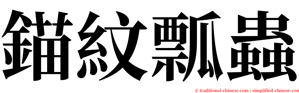 錨紋瓢蟲 serif font
