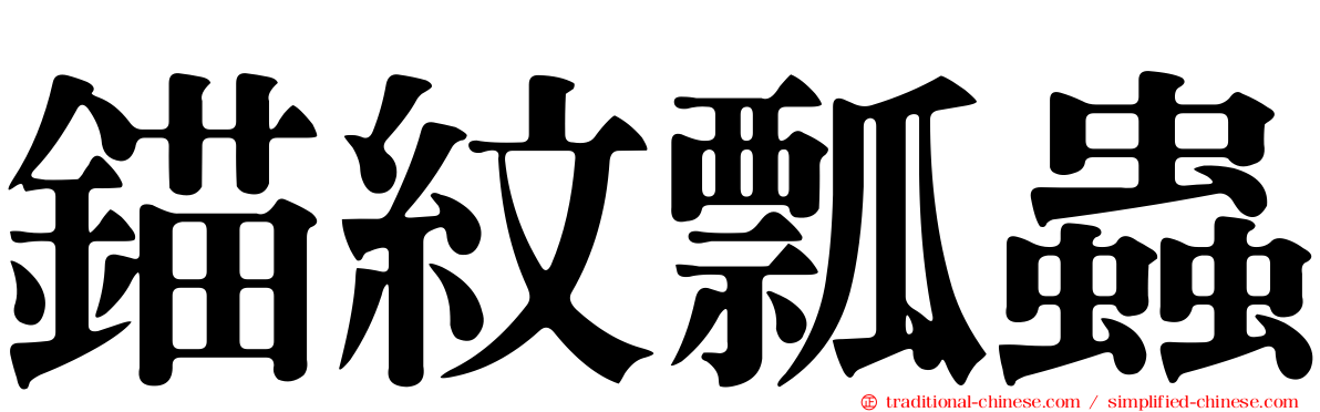 錨紋瓢蟲
