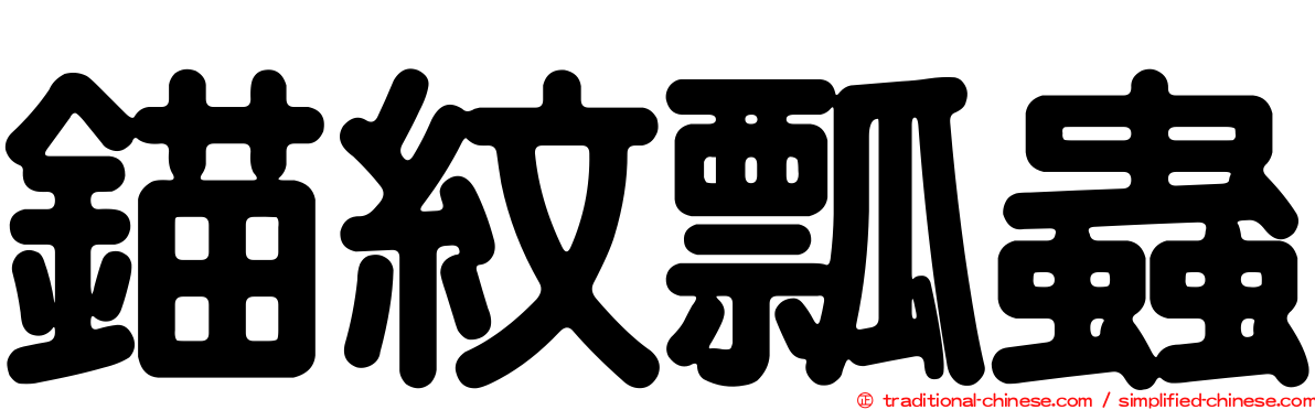 錨紋瓢蟲