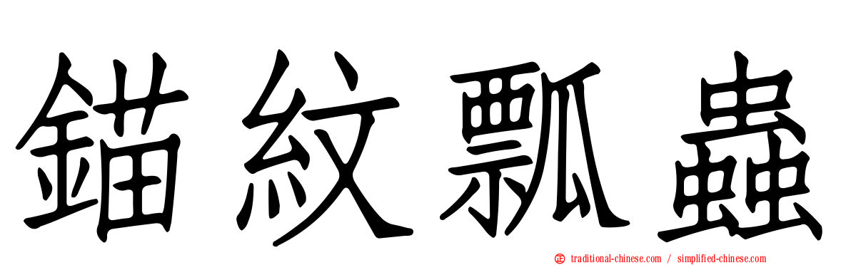 錨紋瓢蟲
