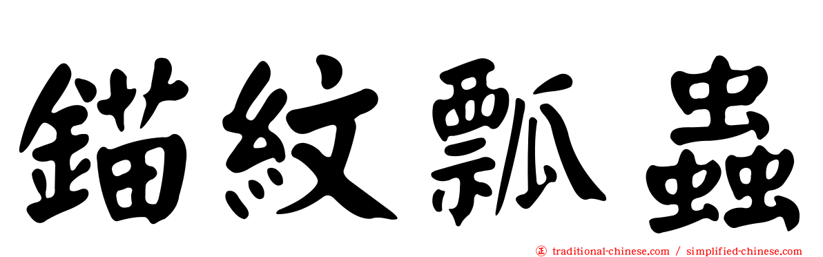 錨紋瓢蟲
