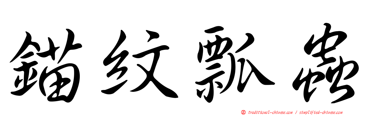 錨紋瓢蟲