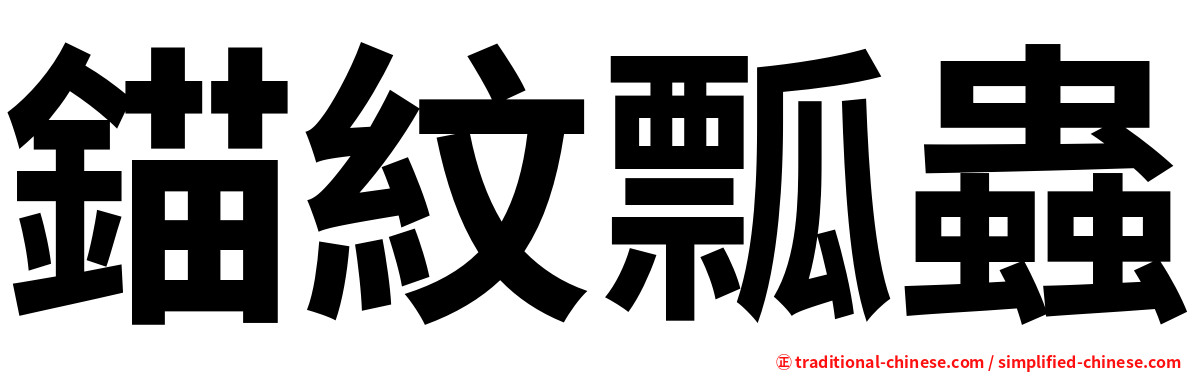 錨紋瓢蟲