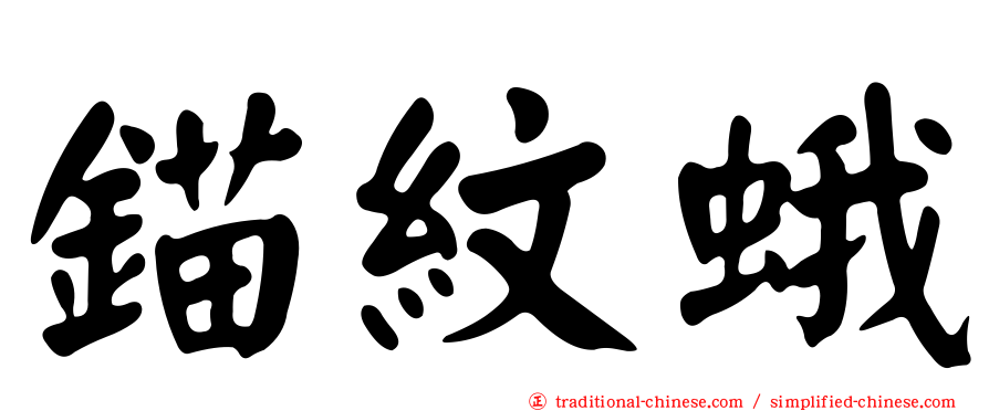 錨紋蛾