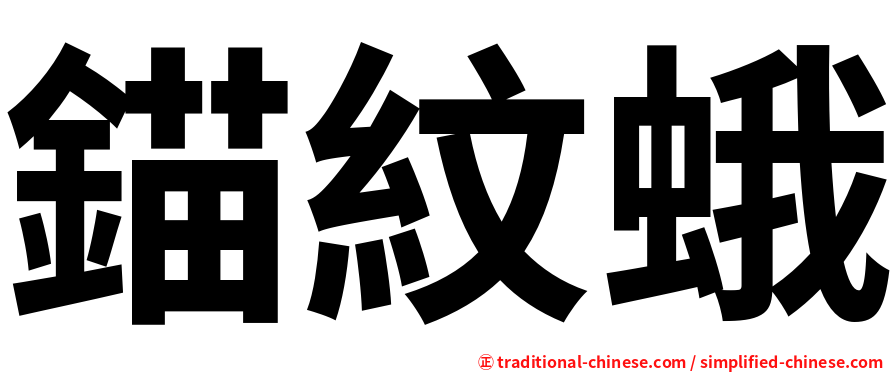 錨紋蛾