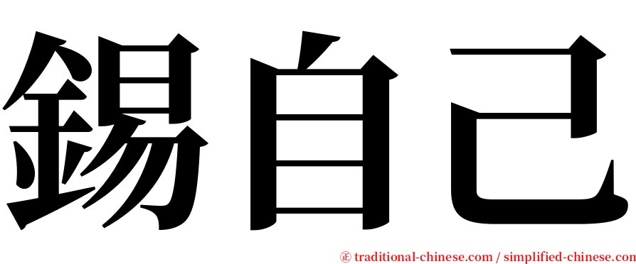 錫自己 serif font