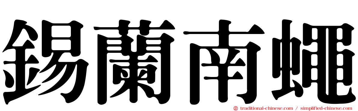 錫蘭南蠅