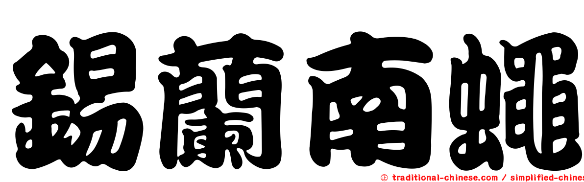 錫蘭南蠅