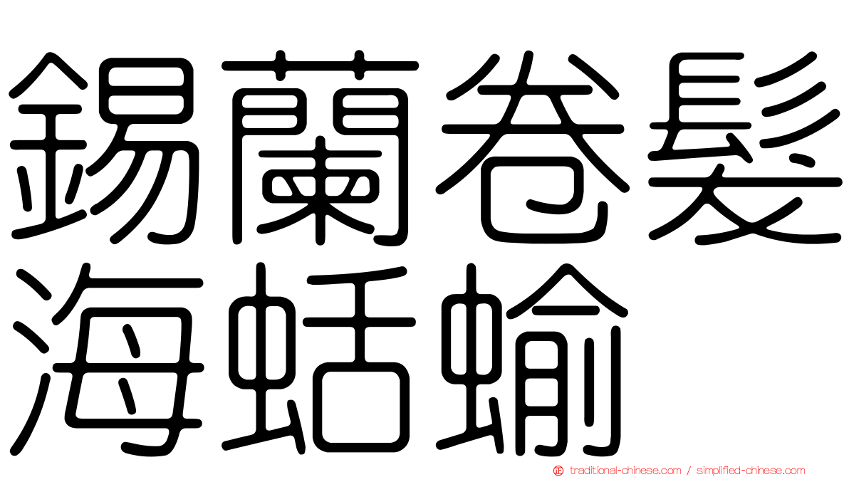 錫蘭卷髮海蛞蝓