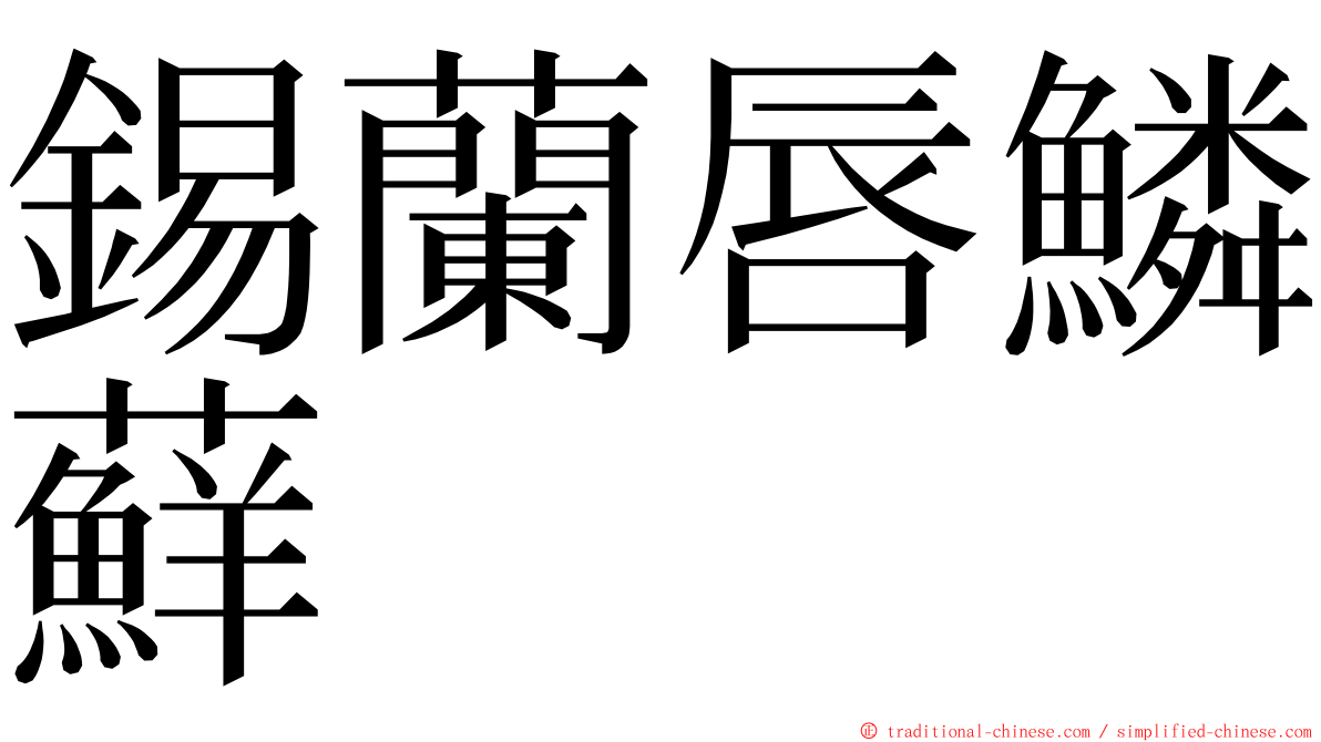 錫蘭唇鱗蘚 ming font