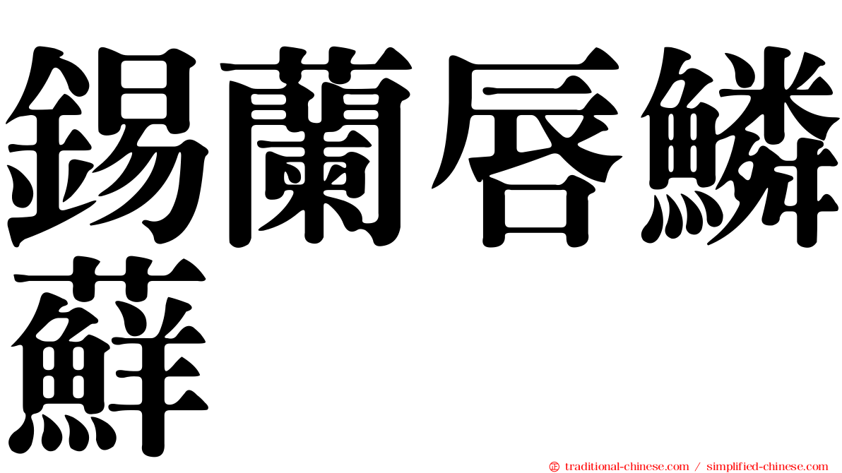 錫蘭唇鱗蘚