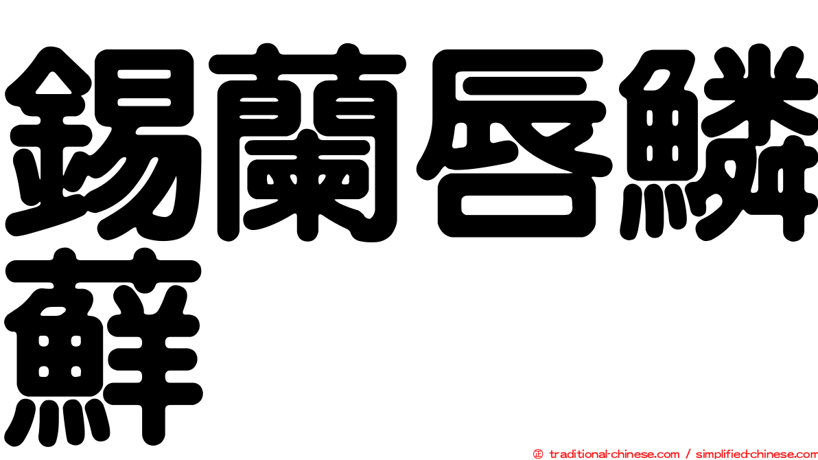 錫蘭唇鱗蘚