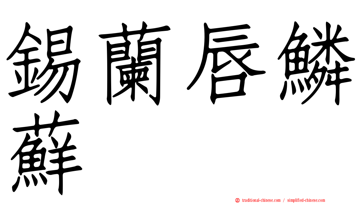 錫蘭唇鱗蘚