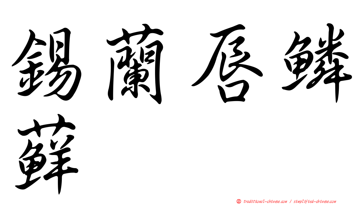 錫蘭唇鱗蘚