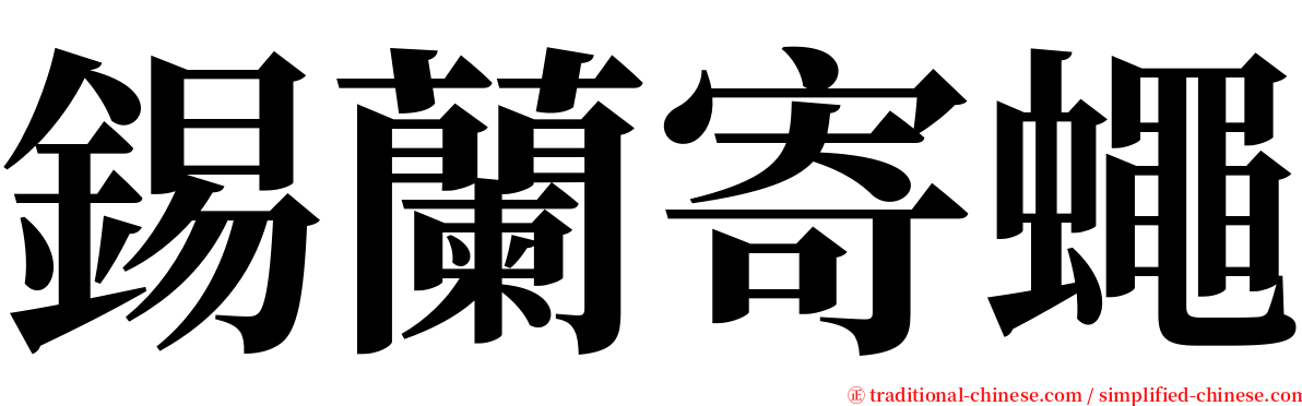 錫蘭寄蠅 serif font