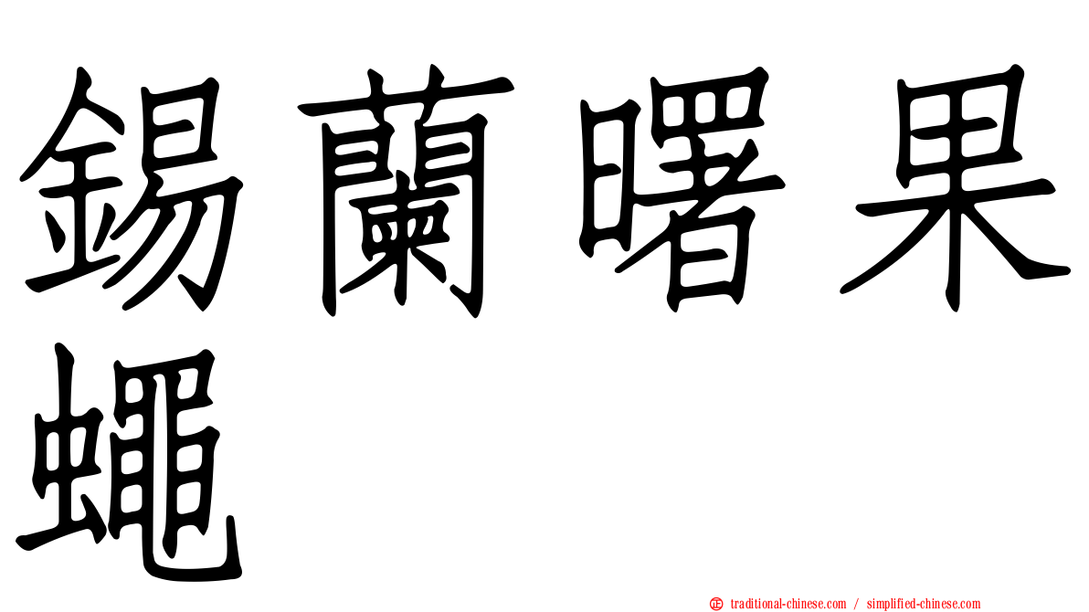 錫蘭曙果蠅