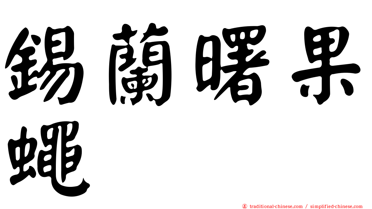 錫蘭曙果蠅