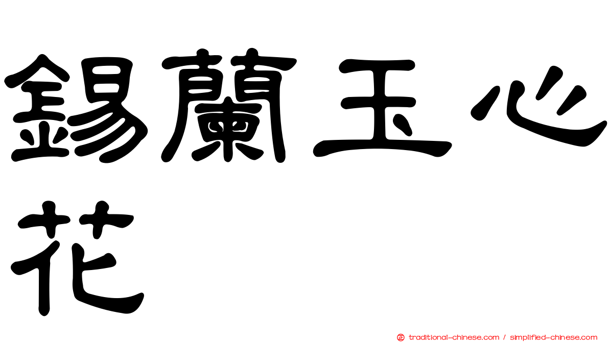 錫蘭玉心花