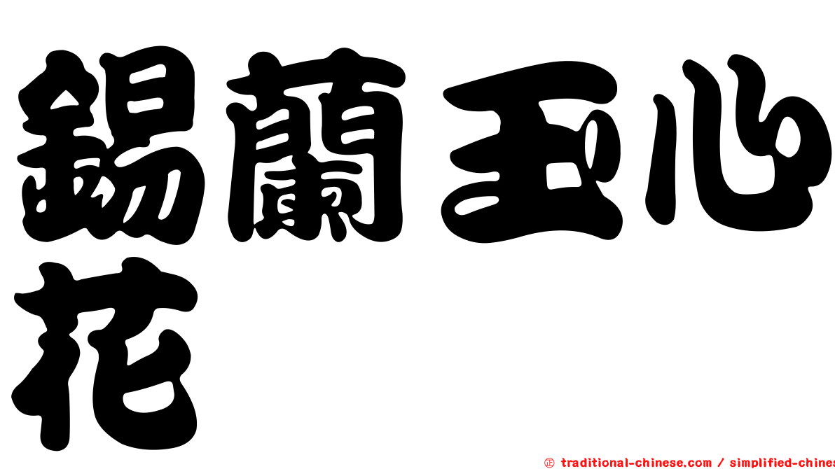 錫蘭玉心花