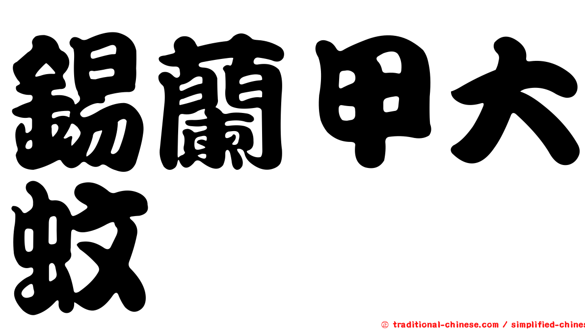 錫蘭甲大蚊