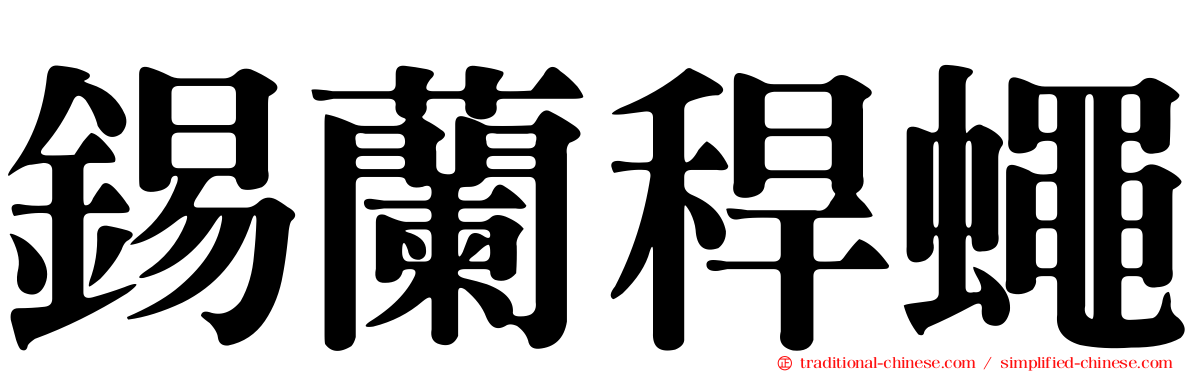 錫蘭稈蠅