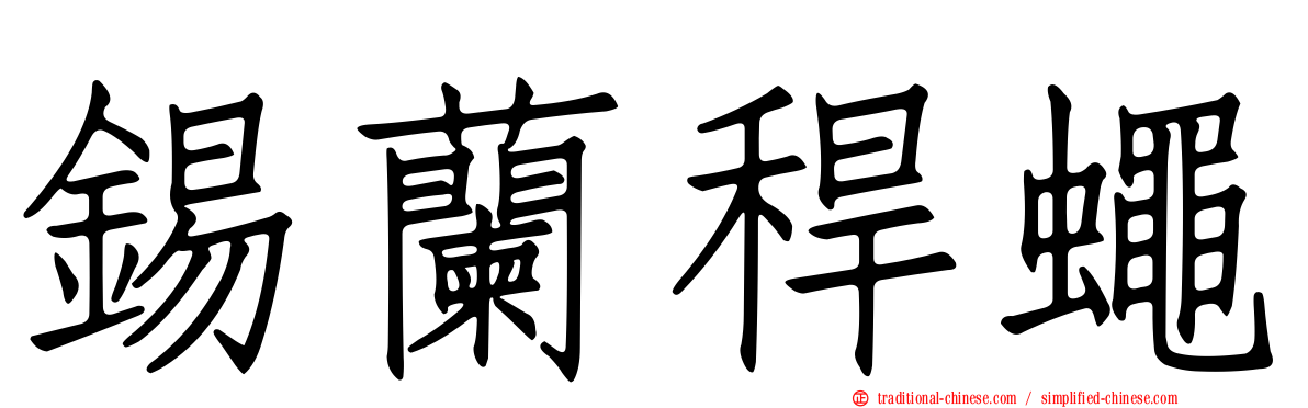 錫蘭稈蠅
