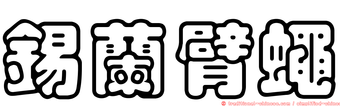 錫蘭臂蠅