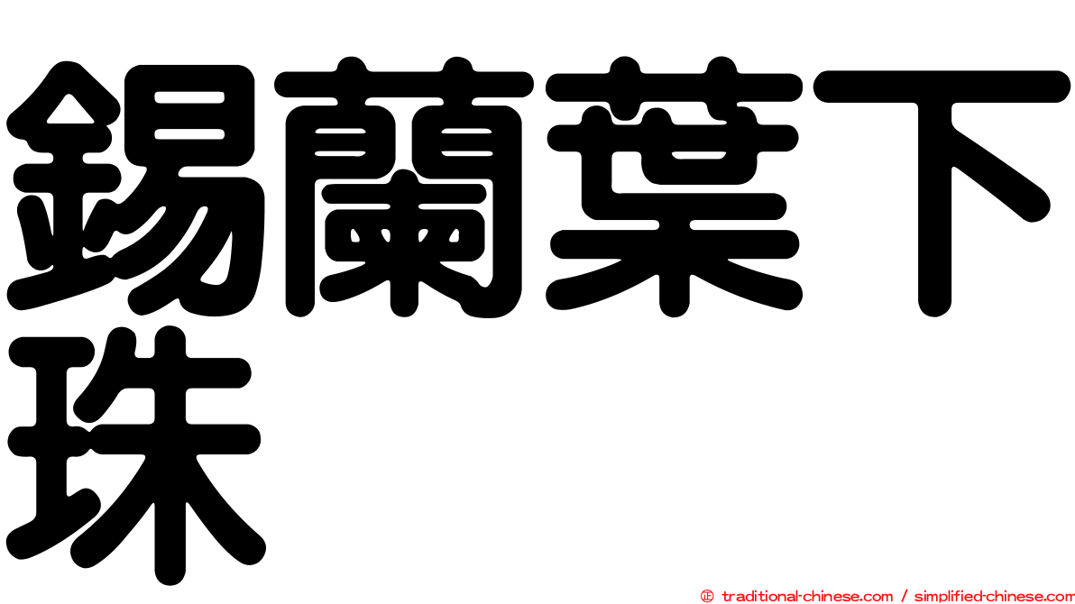 錫蘭葉下珠