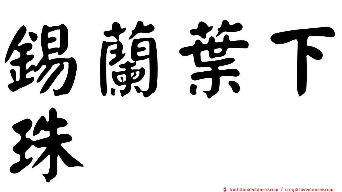 錫蘭葉下珠