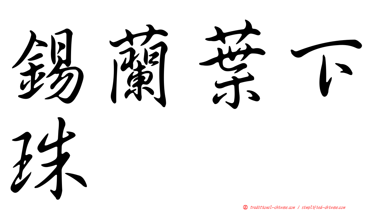 錫蘭葉下珠