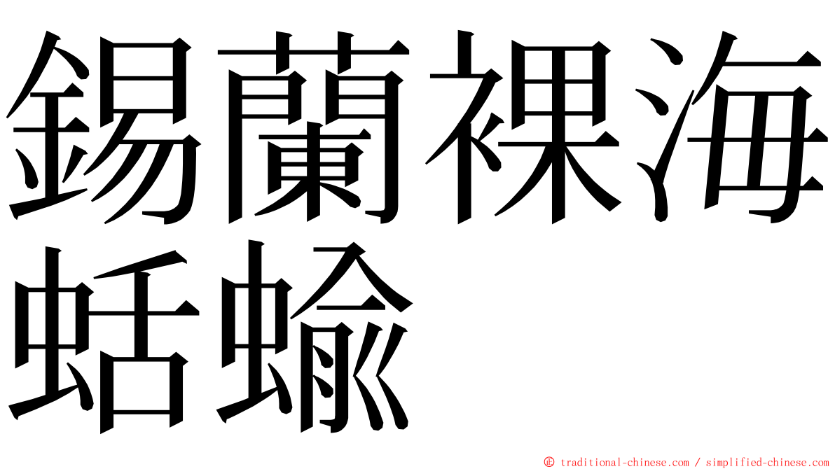 錫蘭裸海蛞蝓 ming font