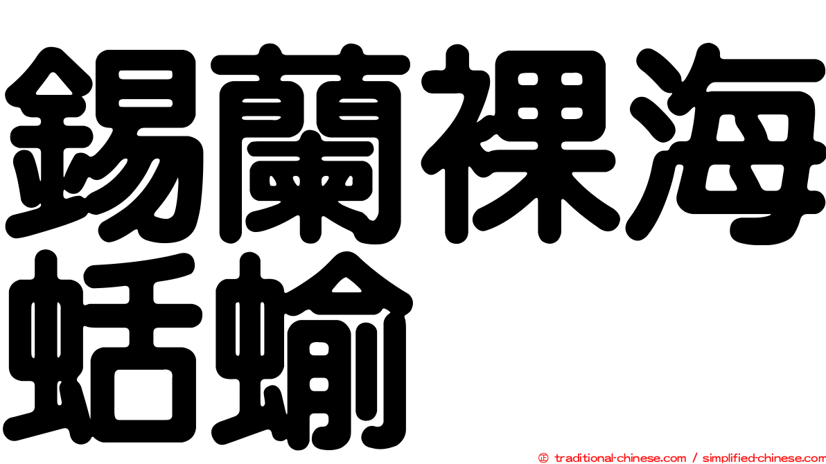 錫蘭裸海蛞蝓