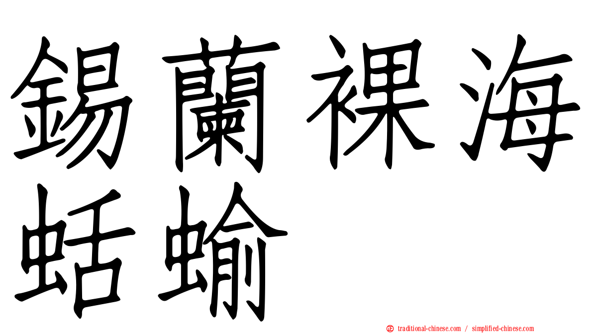 錫蘭裸海蛞蝓