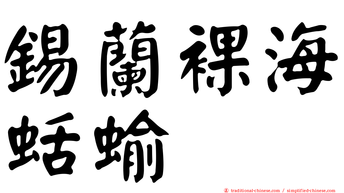 錫蘭裸海蛞蝓